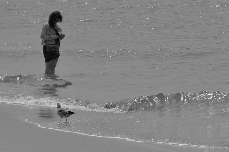 DSC00691 2.JPG