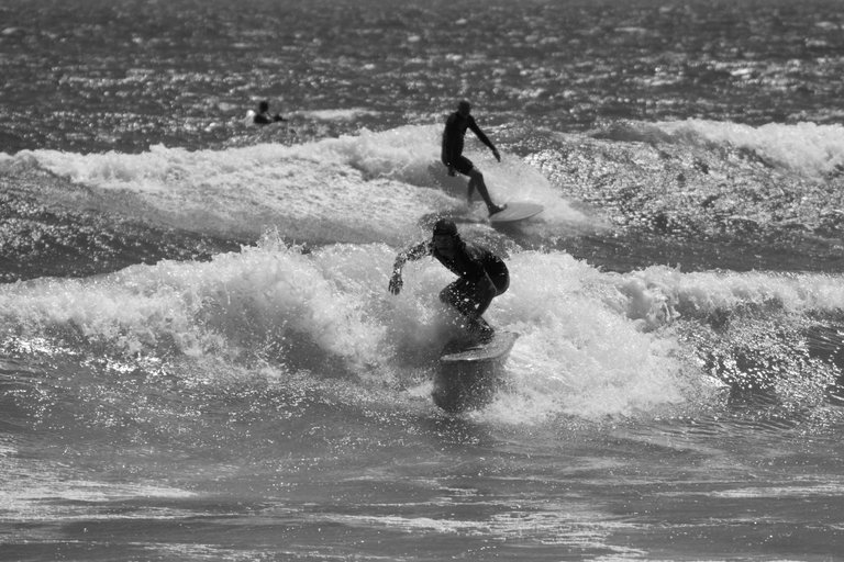 DSC04612.jpeg