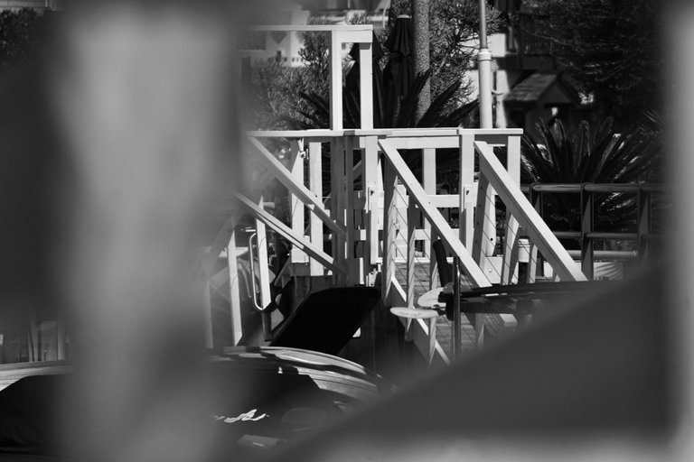 DSC08314 (1).jpeg