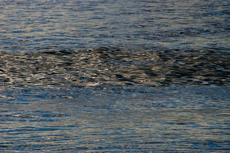 DSC09670.jpeg