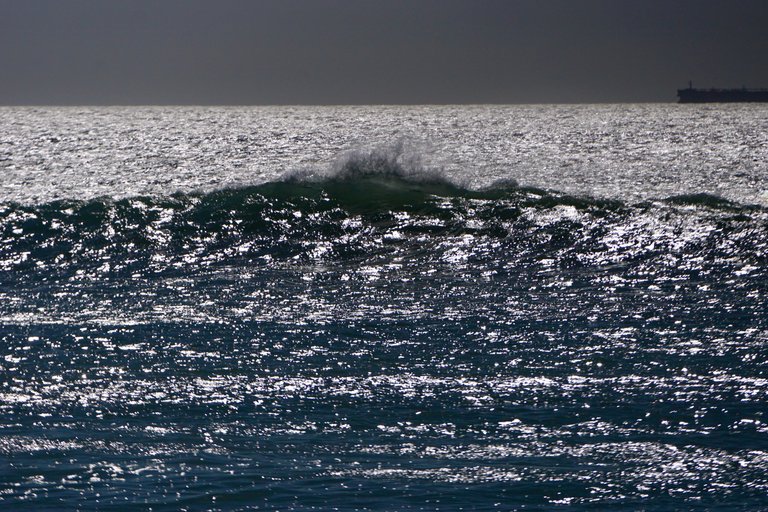 DSC01203.jpeg