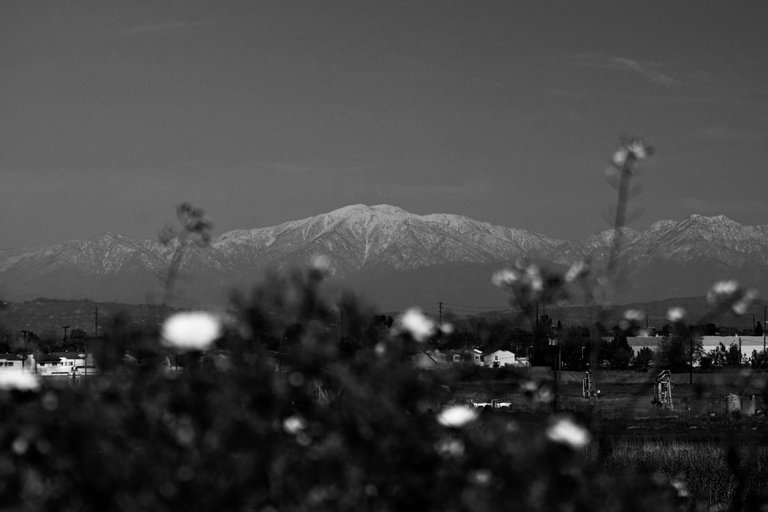 DSC08481.JPG