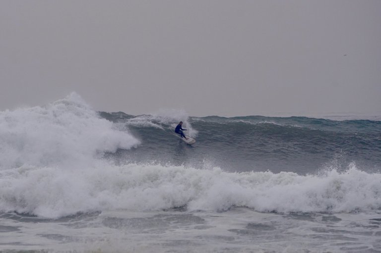 DSC09039.JPG