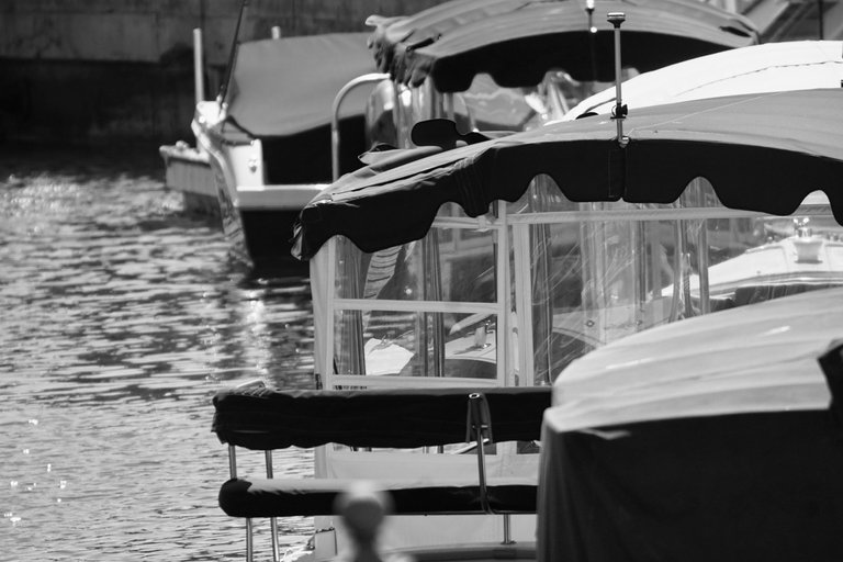DSC08288 (1).jpeg