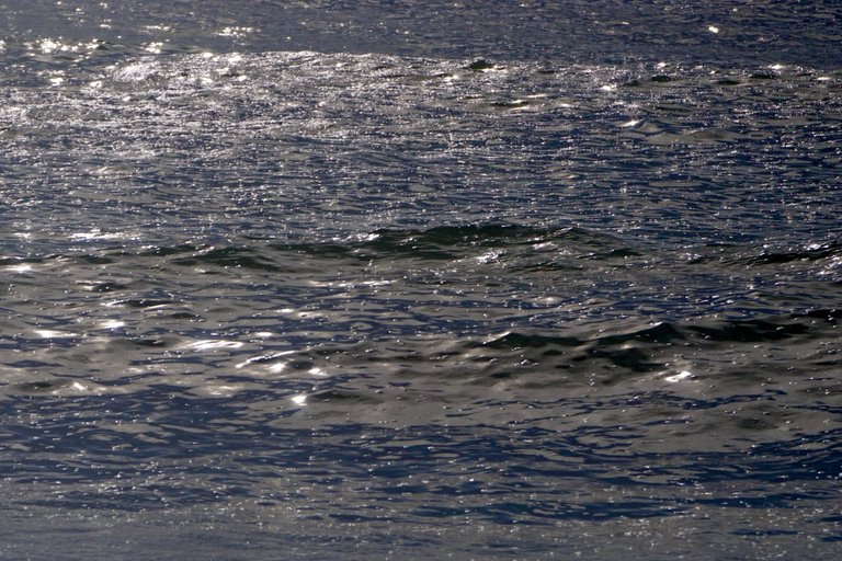 DSC08585.JPG