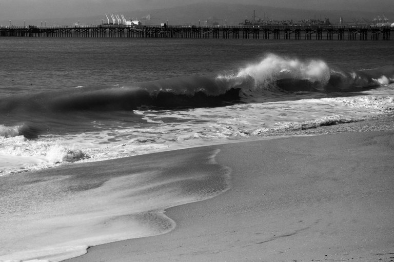 DSC06125.jpeg