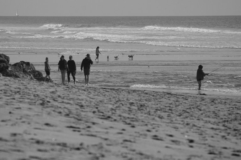 DSC08587.jpeg