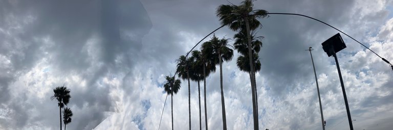 IMG_7250.JPG