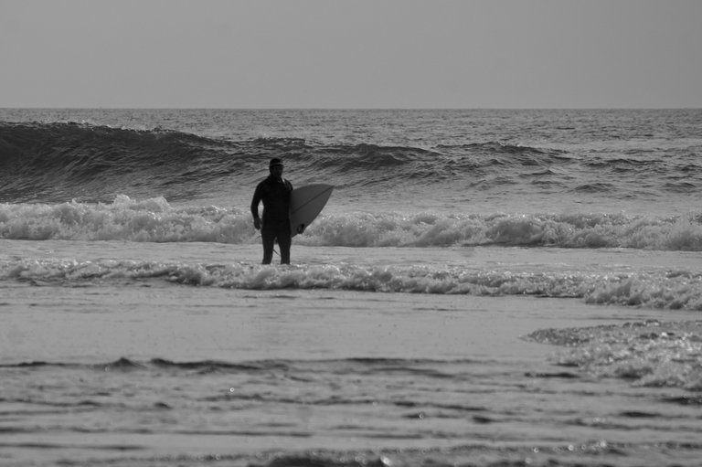 DSC08479.jpeg