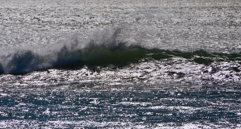 DSC01767.jpeg