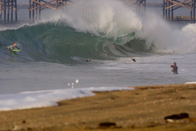 _DSC2639.jpeg