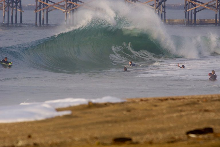 _DSC2635.jpeg