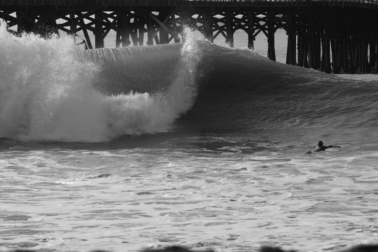 DSC00579.jpeg