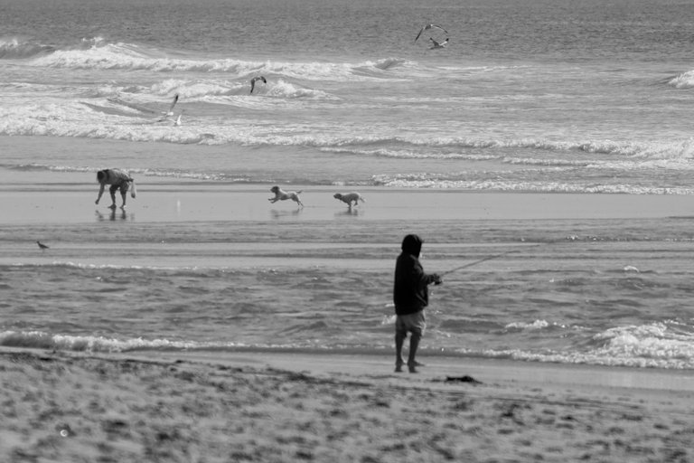 DSC08595.jpeg