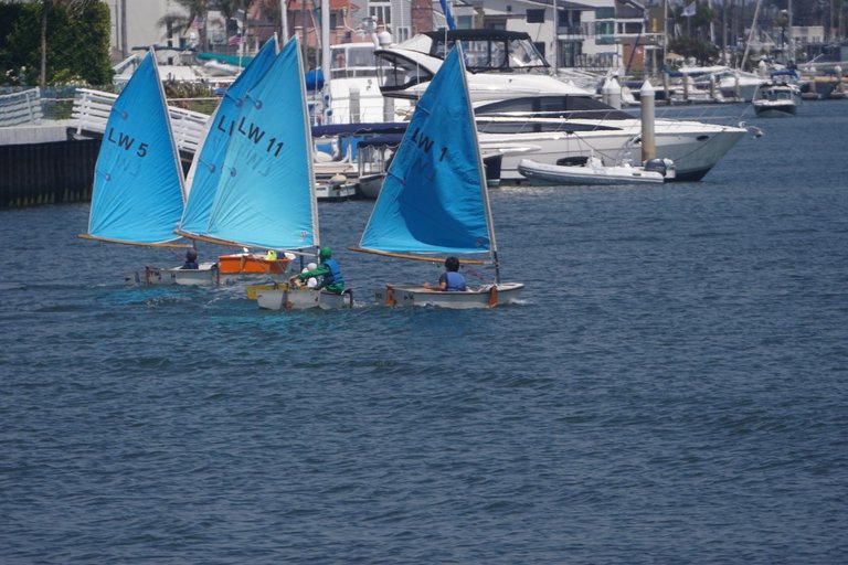 DSC06090.JPG