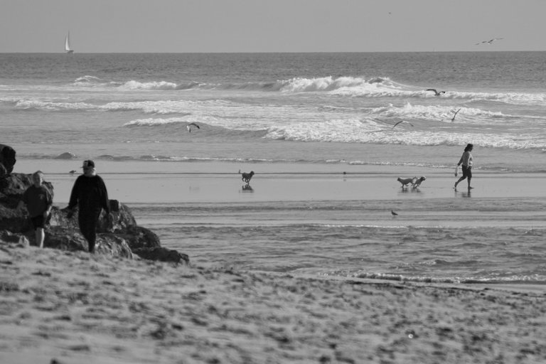 DSC08597.jpeg