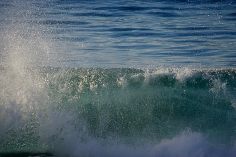 _DSC1897.jpeg