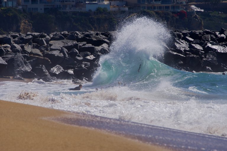 _DSC8858.jpeg