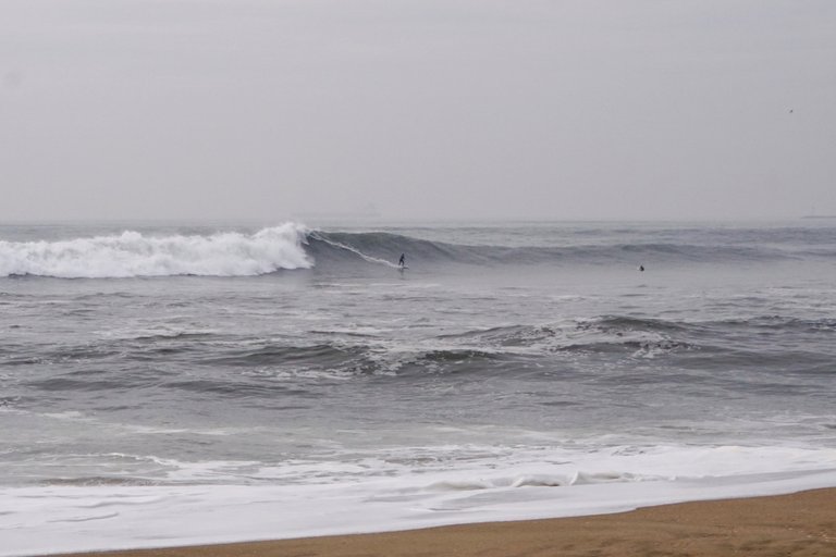 DSC09327.JPG