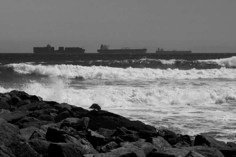 DSC04948.jpeg