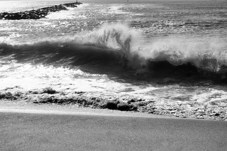 DSC06134.jpeg