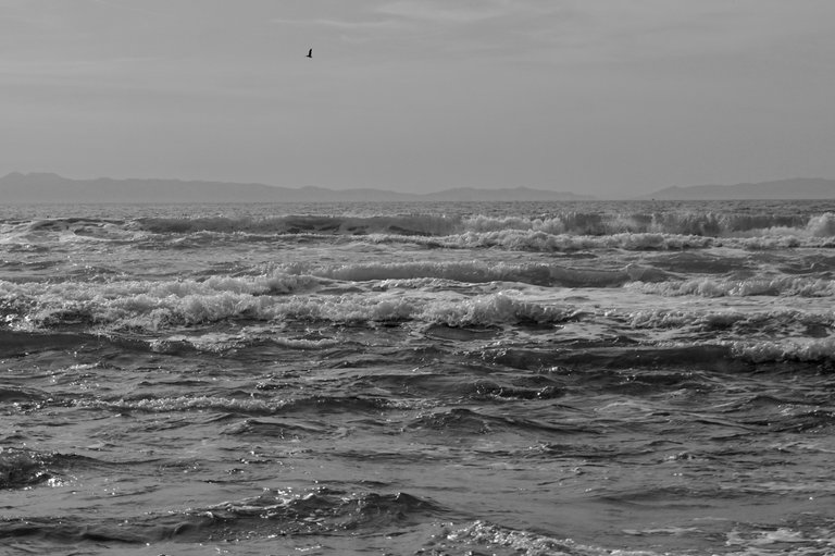 DSC08504.jpeg