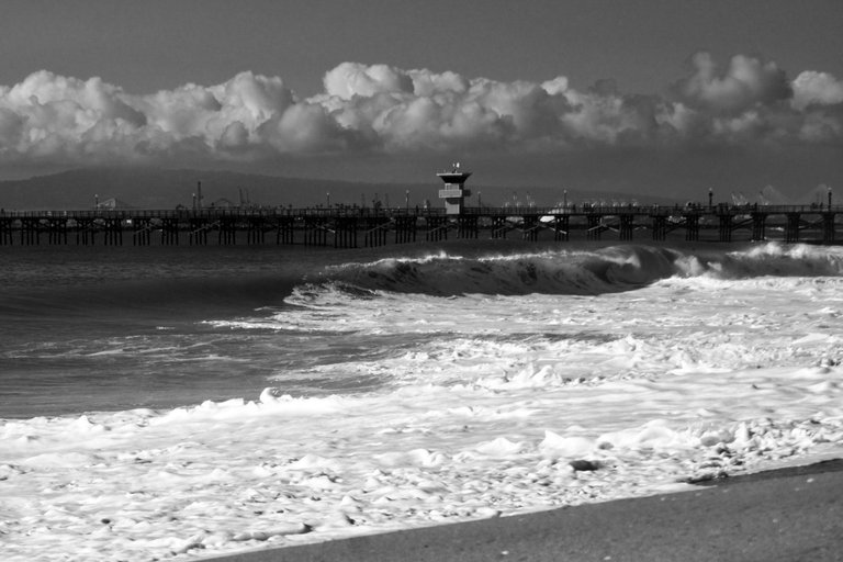 DSC06871.jpeg