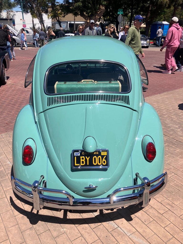 IMG_6482.jpg