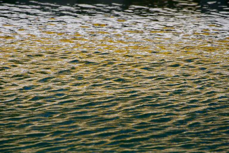 DSC08392.jpeg