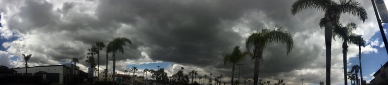 IMG_9550.jpg