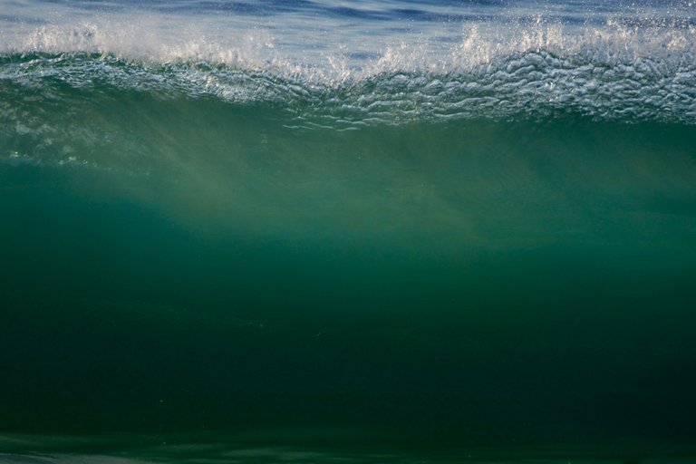 _DSC1890.jpeg