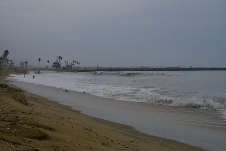 DSC07606.jpeg