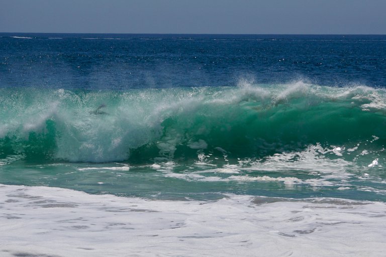 DSC02054.JPG