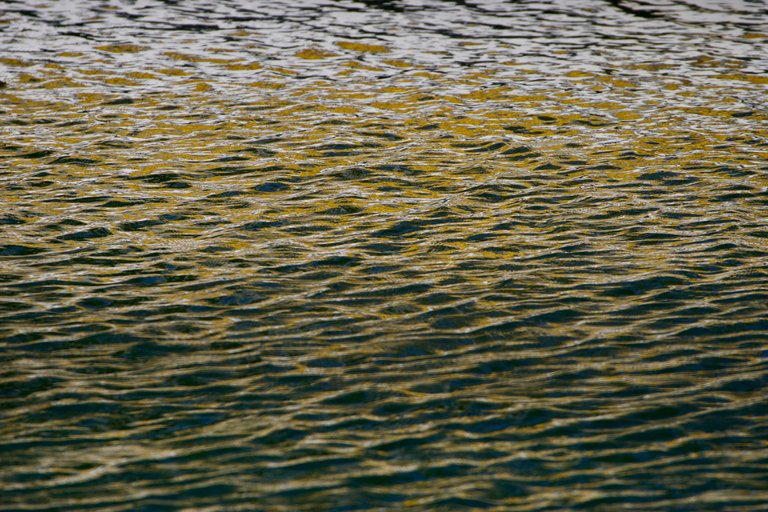 DSC08393.jpeg