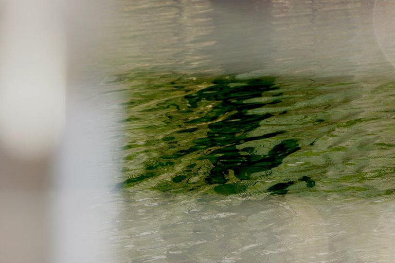 DSC04897.JPG