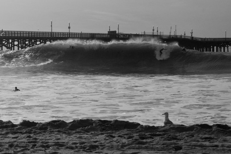 DSC00506.jpeg