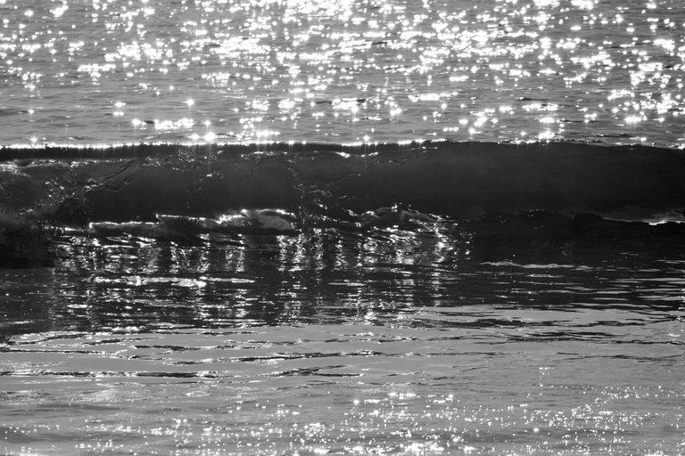 DSC00379.jpeg