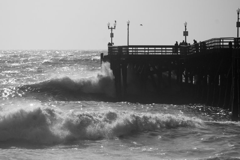 DSC03864.jpeg