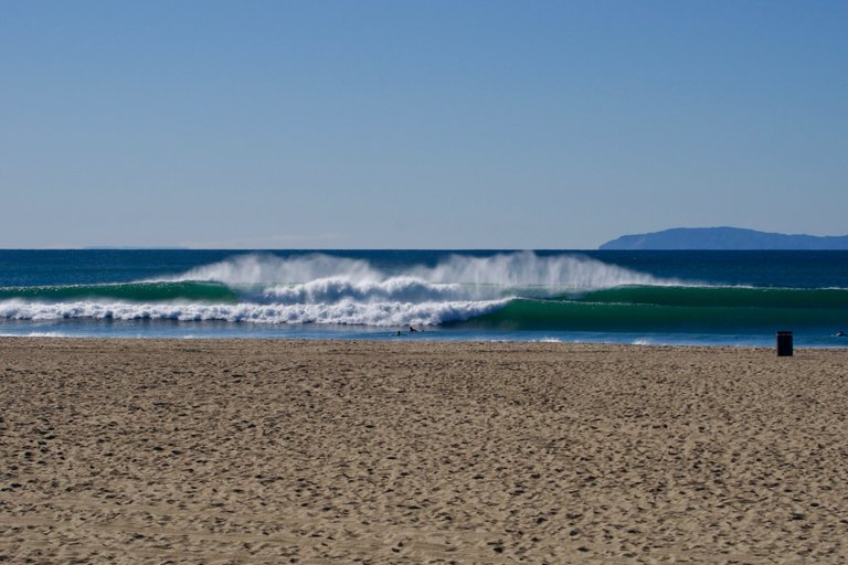 _DSC3195.jpeg
