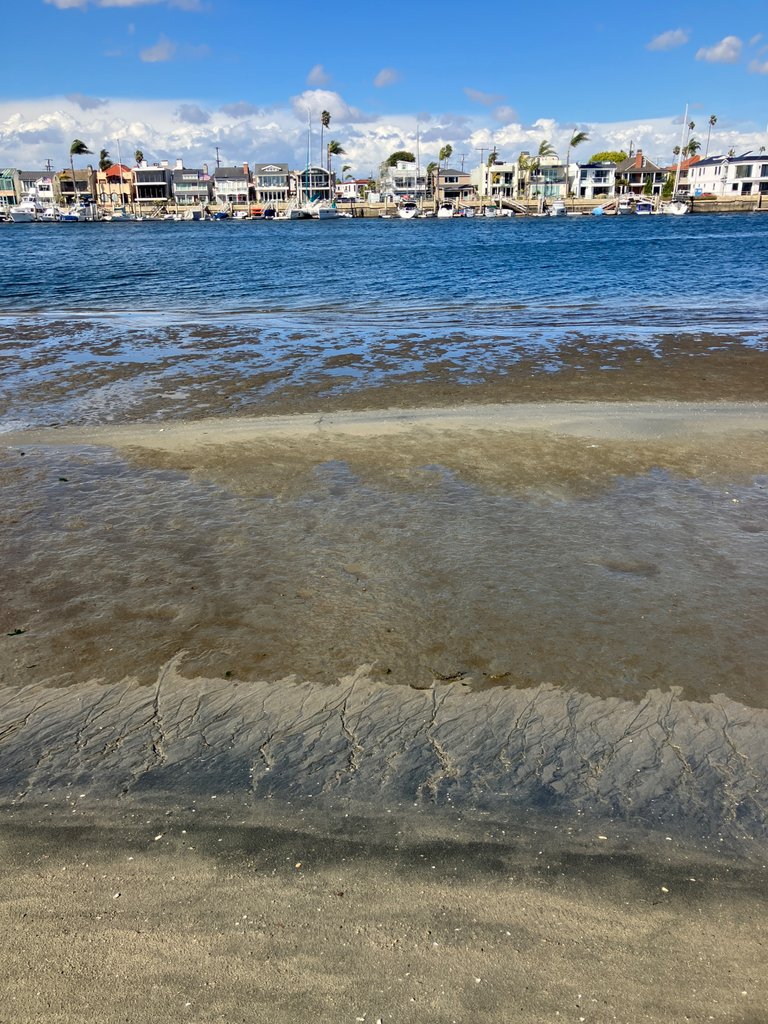 IMG_5539.JPG
