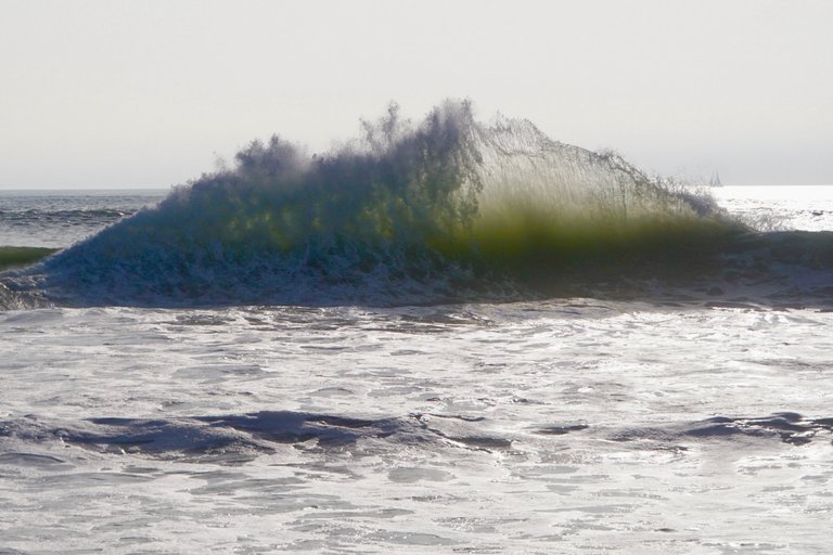 DSC02368.JPG