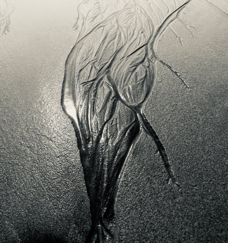Unknown-5.jpeg