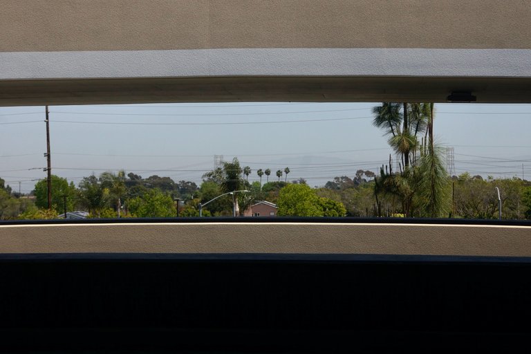 _DSC1307.jpeg