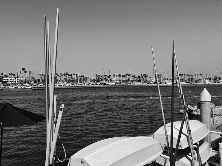 IMG_7424 2.jpg