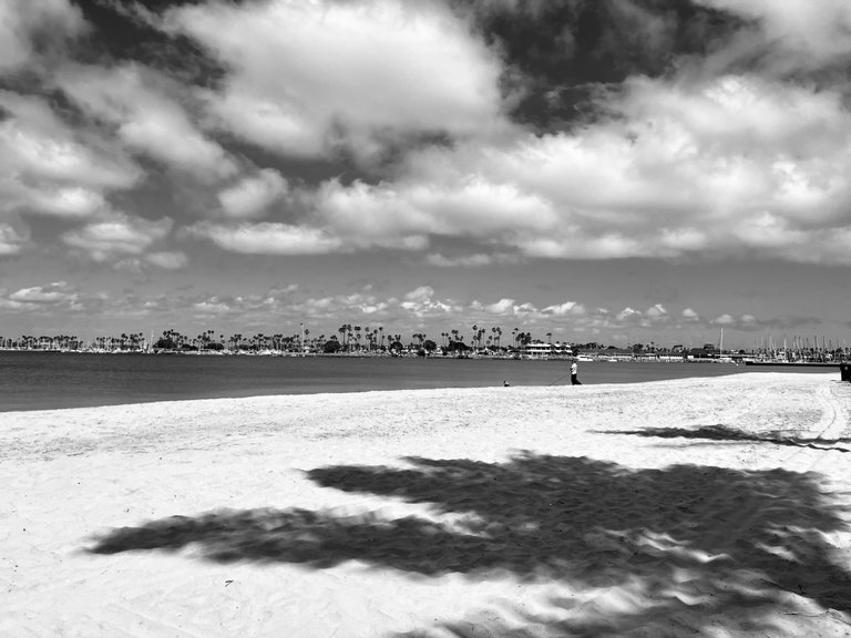 IMG_6809.jpg