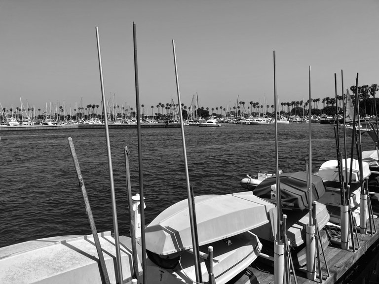 IMG_7425 2.jpg