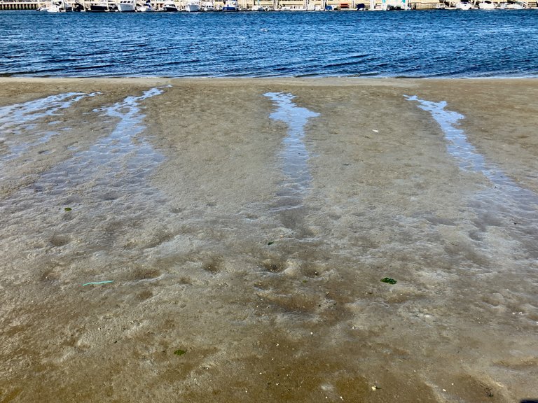 IMG_5537.jpg