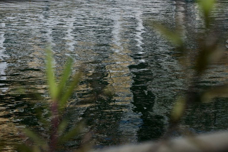 _DSC6098.jpeg