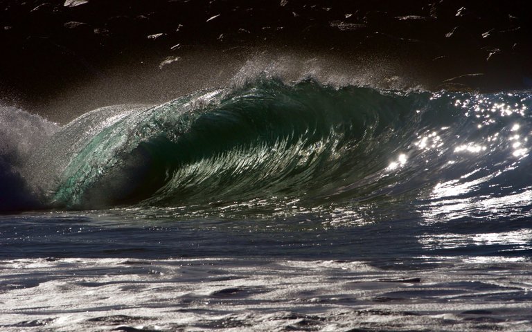 _DSC6432.jpeg