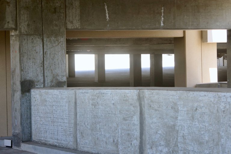 _DSC1306.jpeg